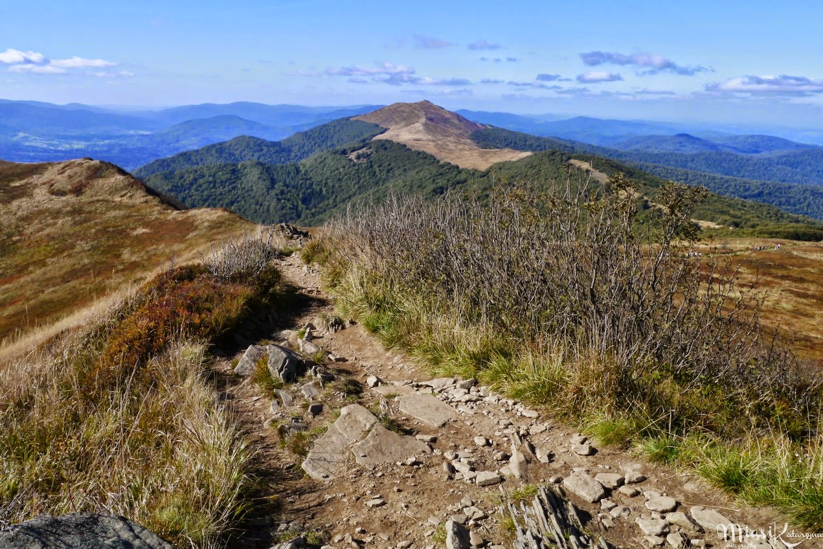 Bieszczady...