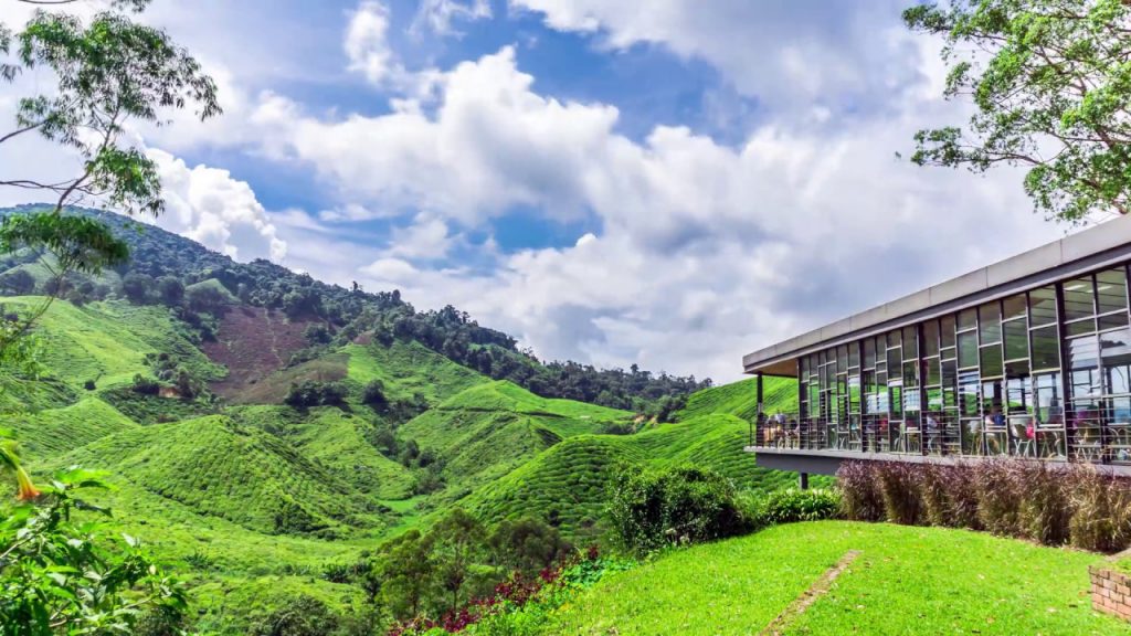 Tempat Menarik Di Cameron Highlands
