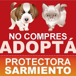 Sociedad Protectora de Animales Sarmiento