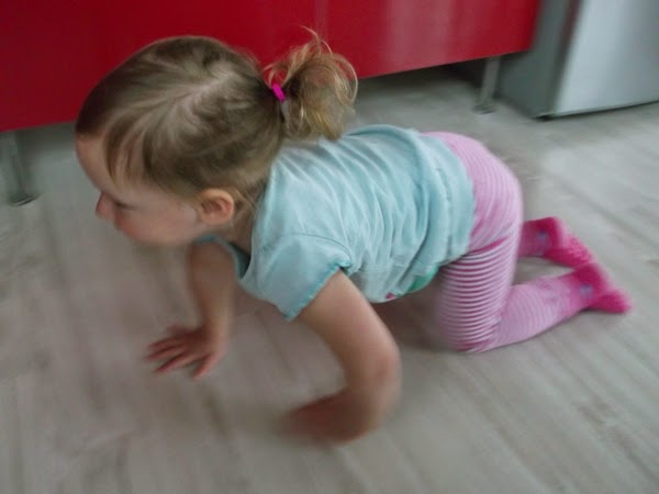 dziewczynka, dwulatka w kitktach, kucykach dziewczynka, dwulatka w kitktach, kucykach