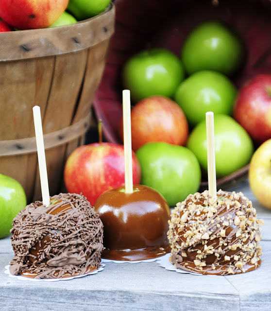 Kara s Party Ideas Fall  Harvest  Thanksgiving Caramel Apple Party  - 64