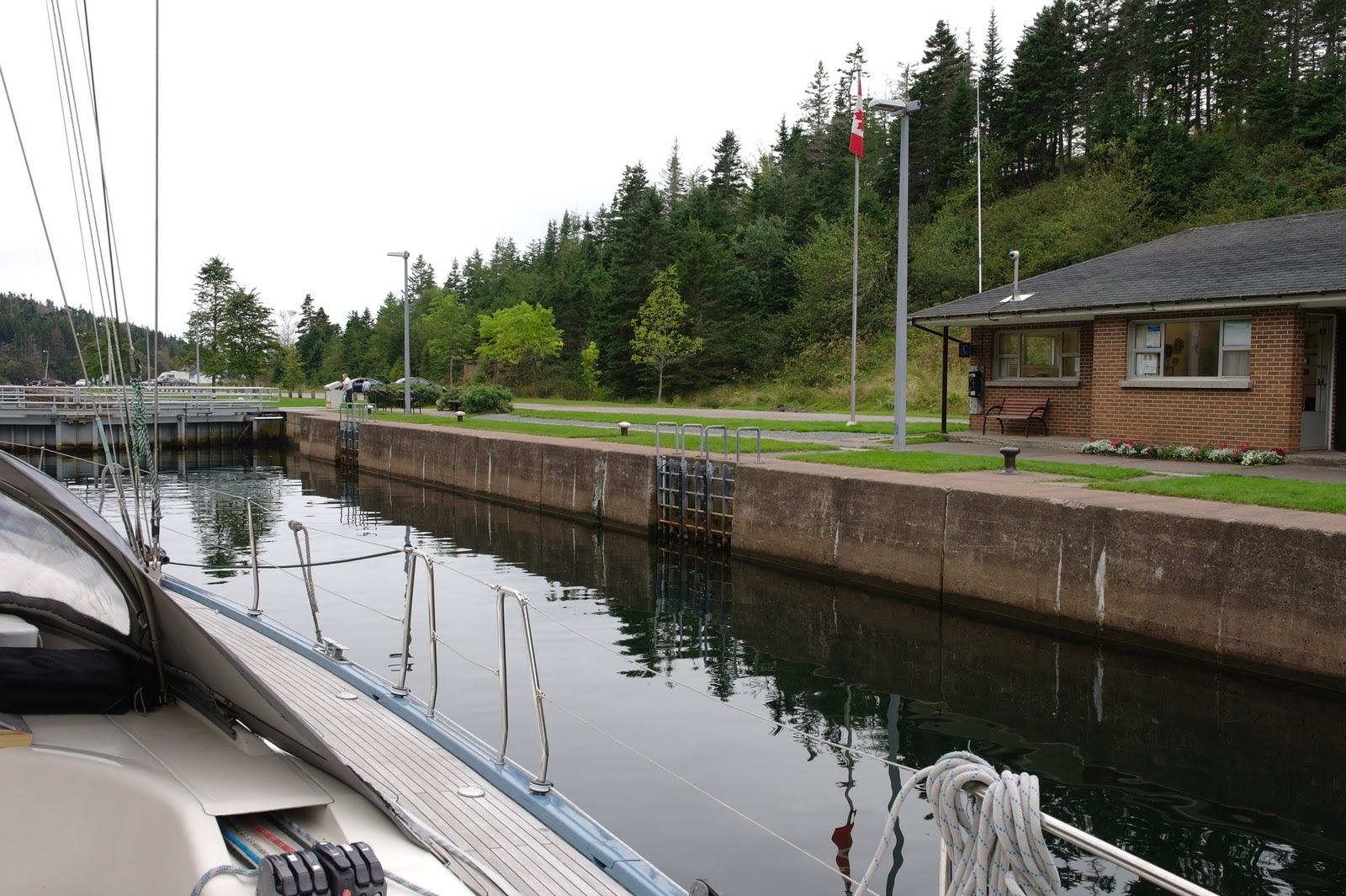 lion king op wereldreis Novo Scotia