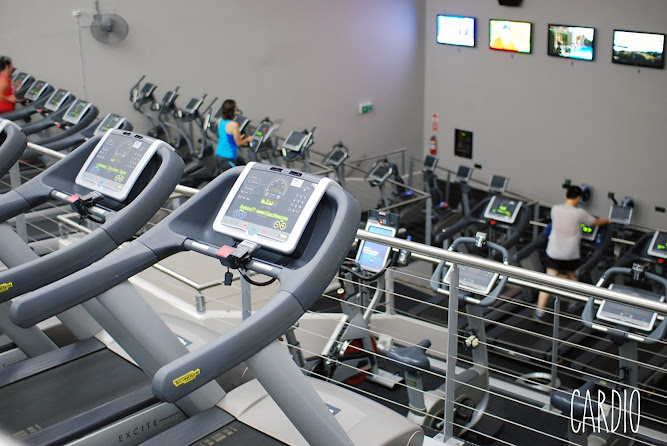 Fitness First Gym Parramatta Cardio Room