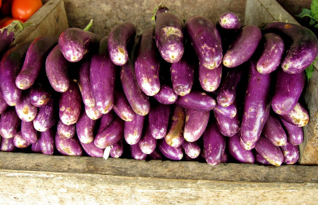 Health benefits Of Eggplant for the Body and Beauty VegetaFruit