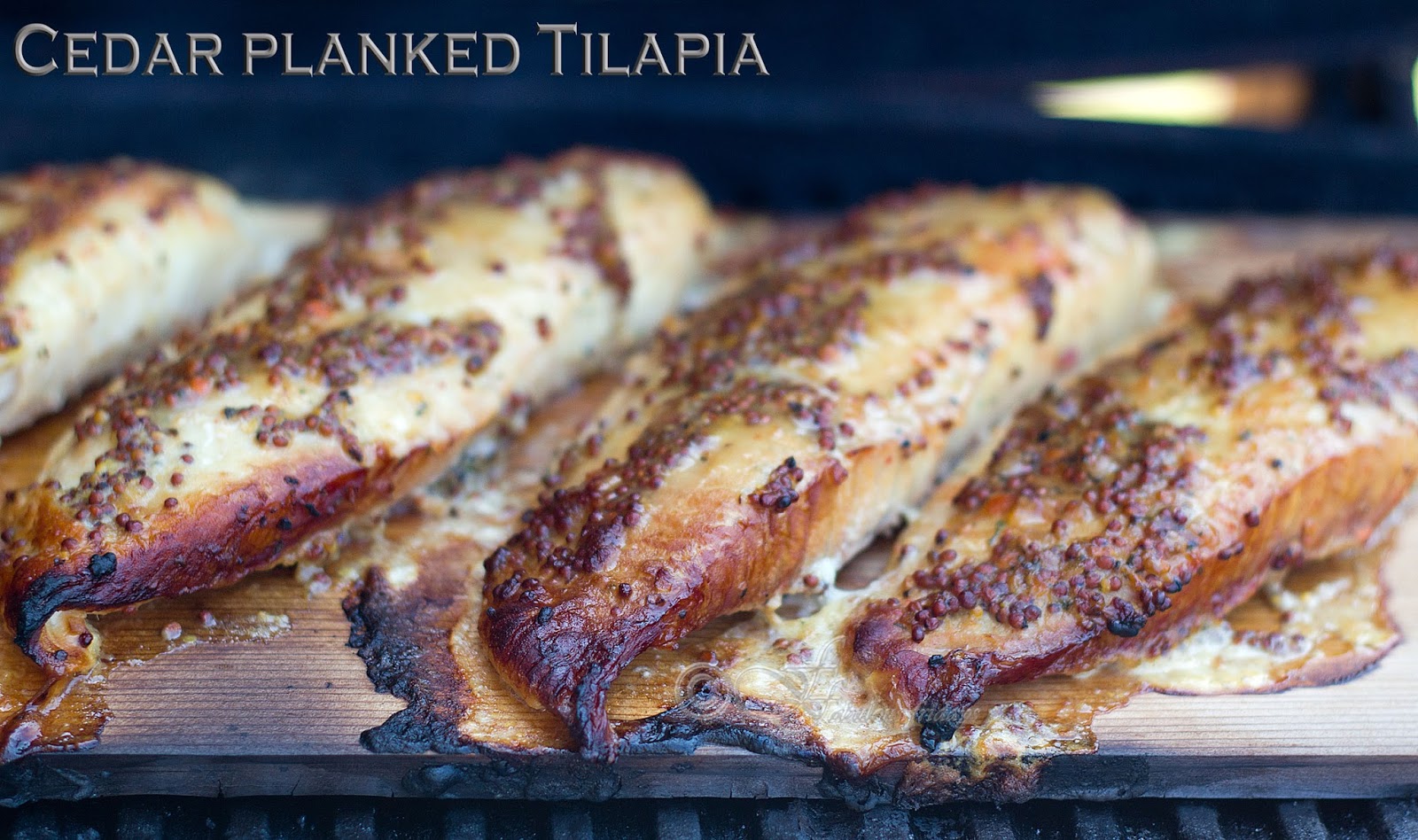 fabulous fridays Cedar planked Tilapia