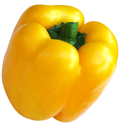 yellow pepper clipart - photo #32