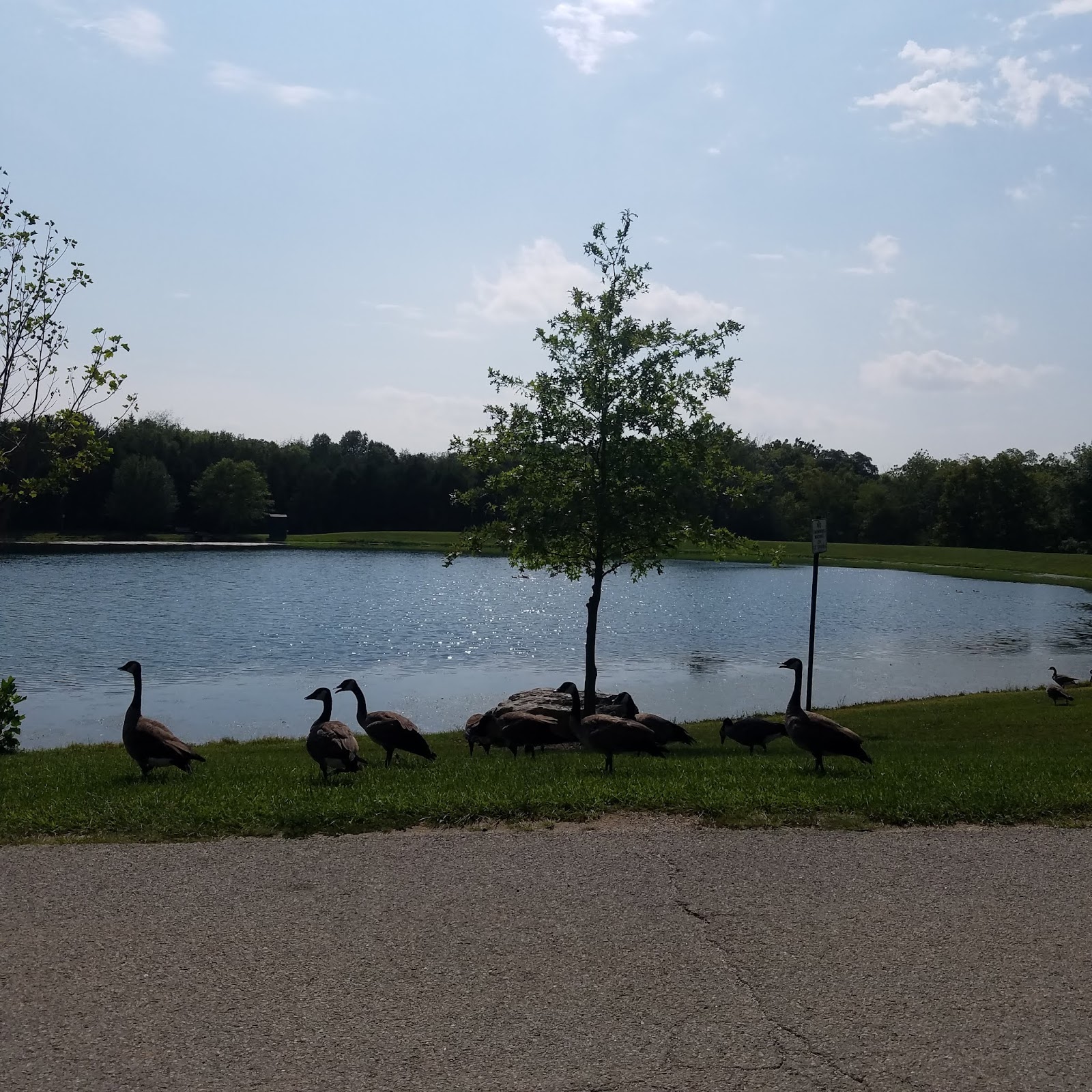 Play St. Louis Rotary Park, Foristell