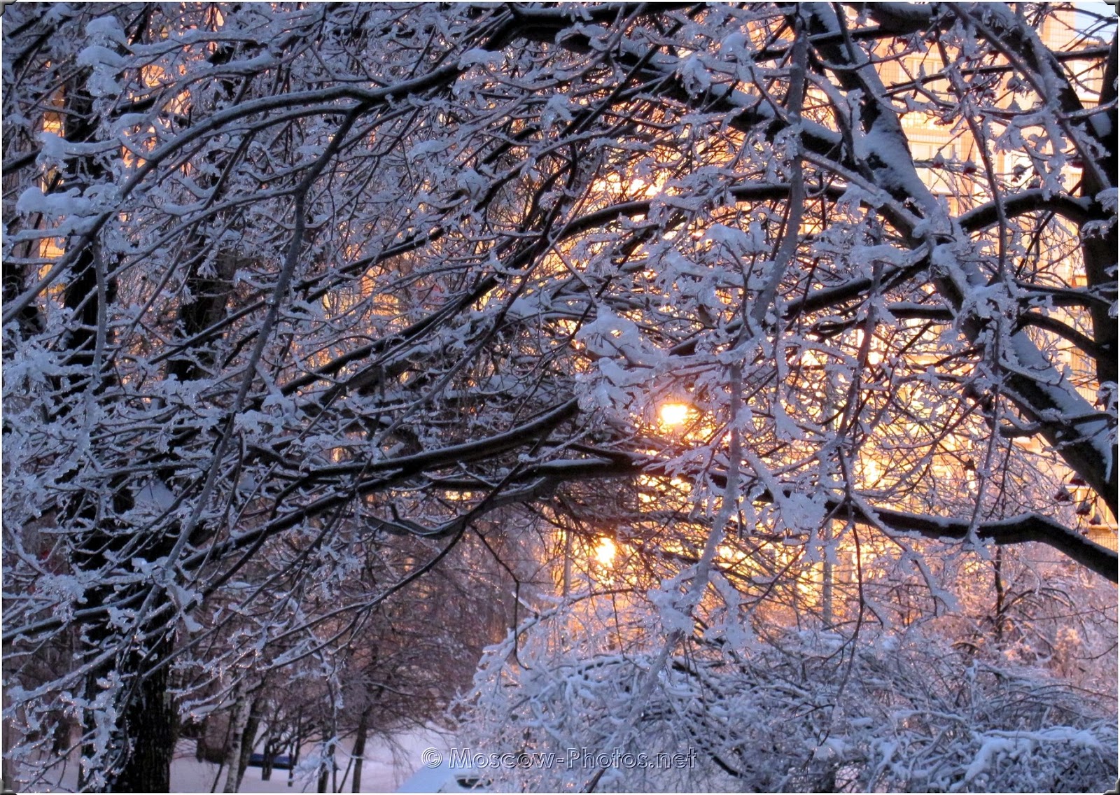 Snowy Moscow Winter 
