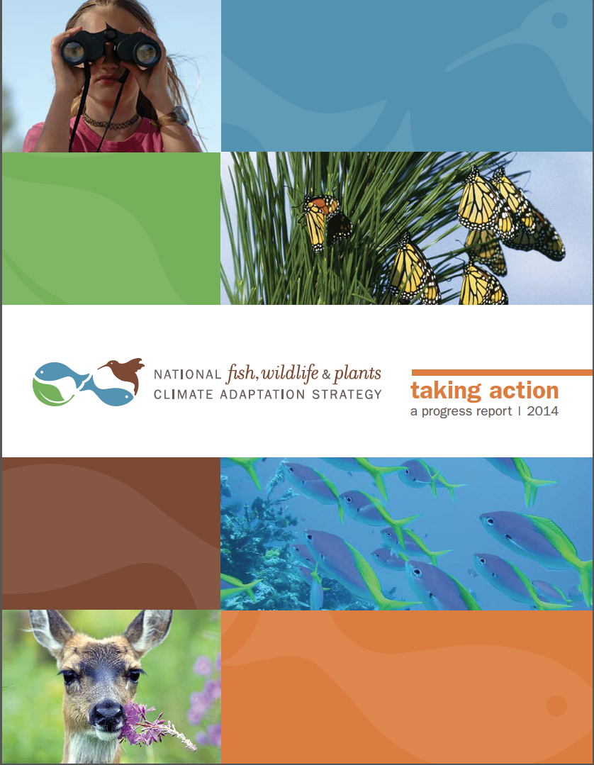 Conservation News Recently Released Taking Action A Progress