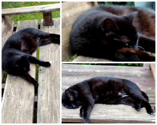 Nunu S Garn Und Stofflabor Chillen Relaxen Oder Aus Einem