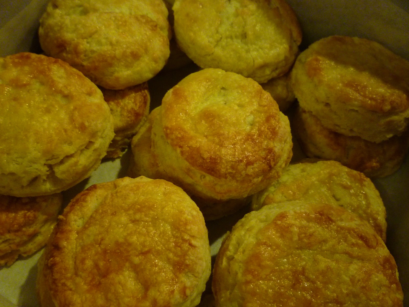 BitesNSlices An Order of American Biscuits