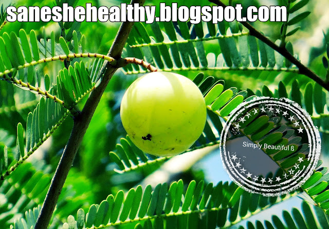 Amla is used for medicinal purposes in Ayurveda. 