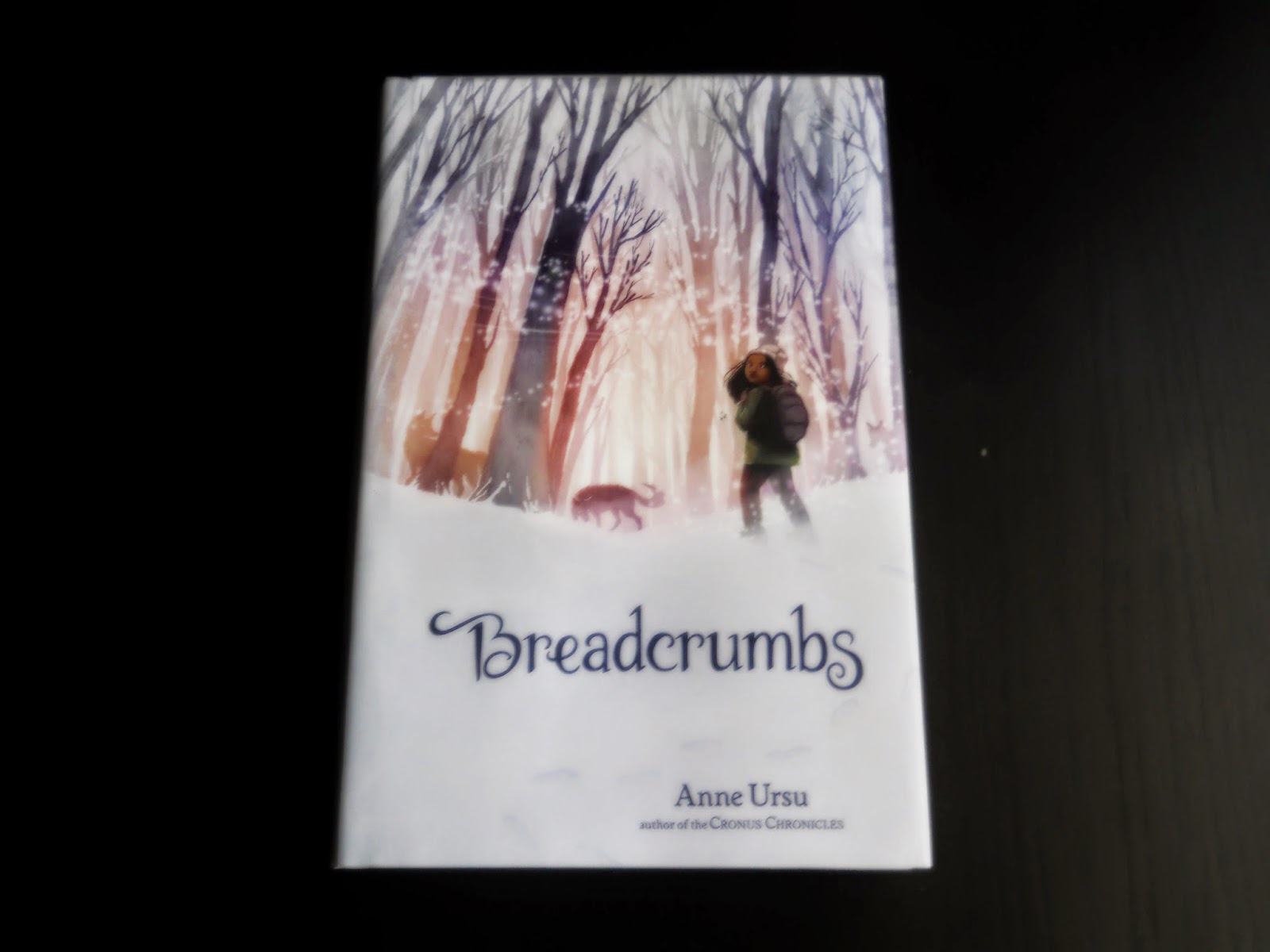 Bout of Books 11.0 Day 1 Challenges — She's Got Books on Her Mind