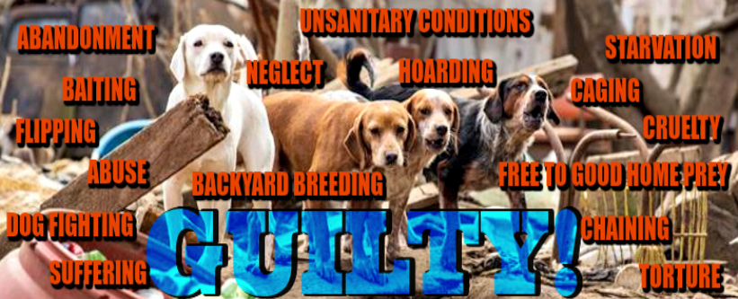 unwanted pets free to good home