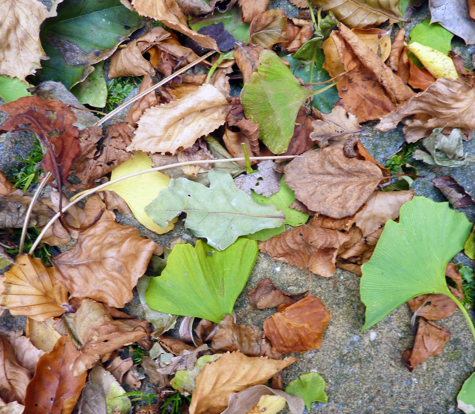 SinomaGroup.Com: Wallpaper Feature Wall Chimney Breast