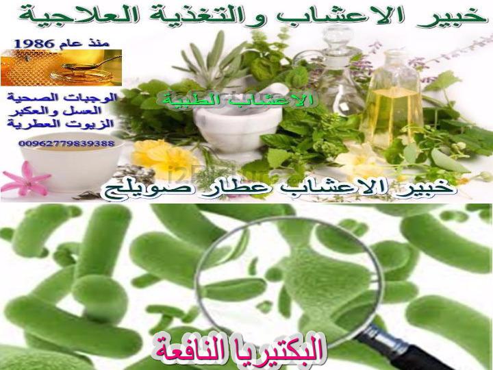أعشاب طبيعية ومكملات غذائية لتطهير المعدة والأمعاء صحتك كير