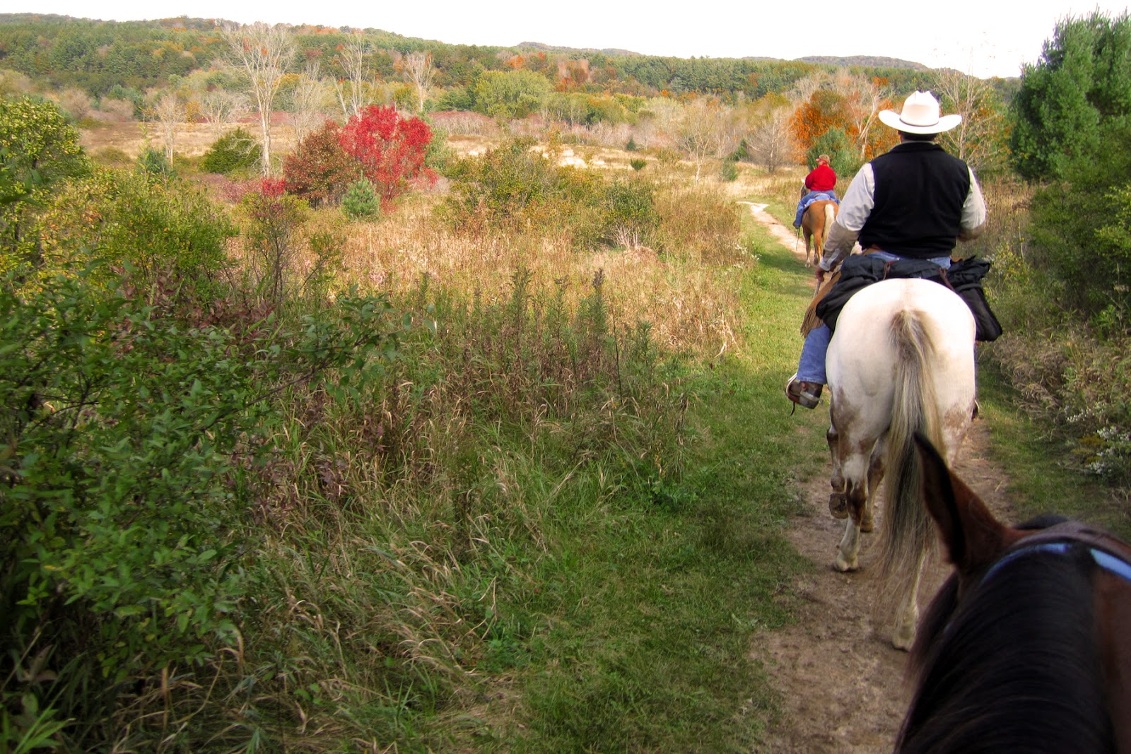 equine expressions Kickapoo Valley Reserve