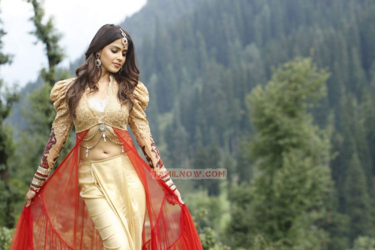 Indian Actress Hot Pics Genelia Boobs Hot Photos