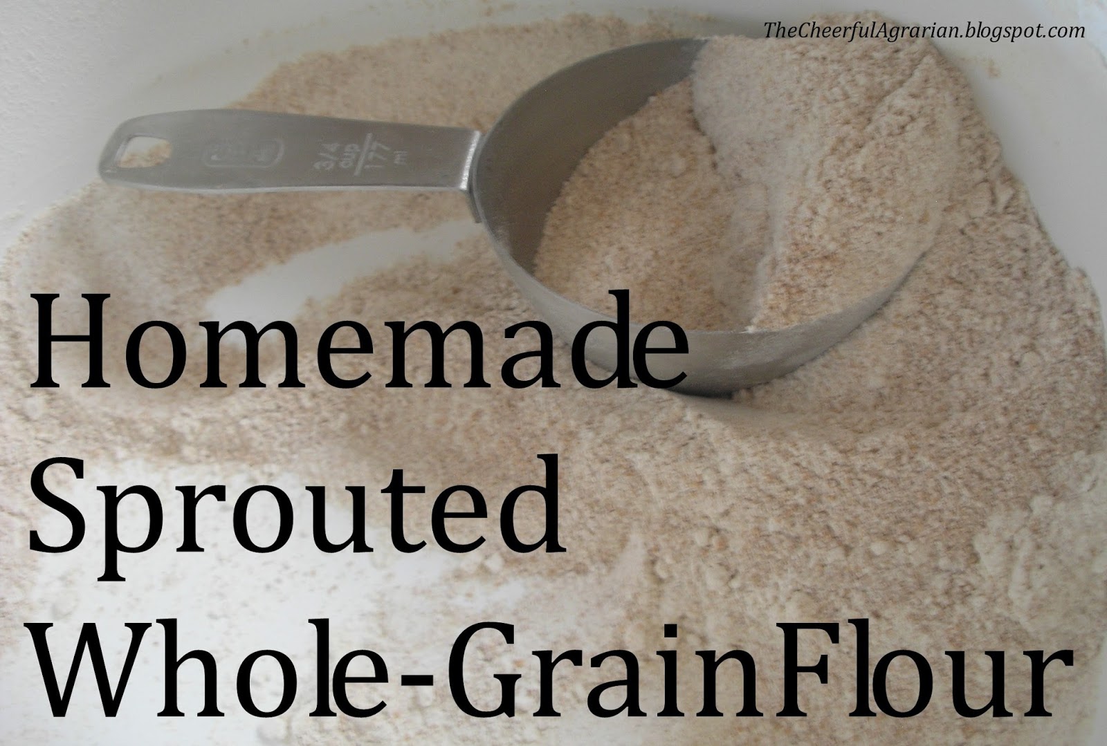 The Cheerful Agrarian Homemade Sprouted WholeGrain Flour