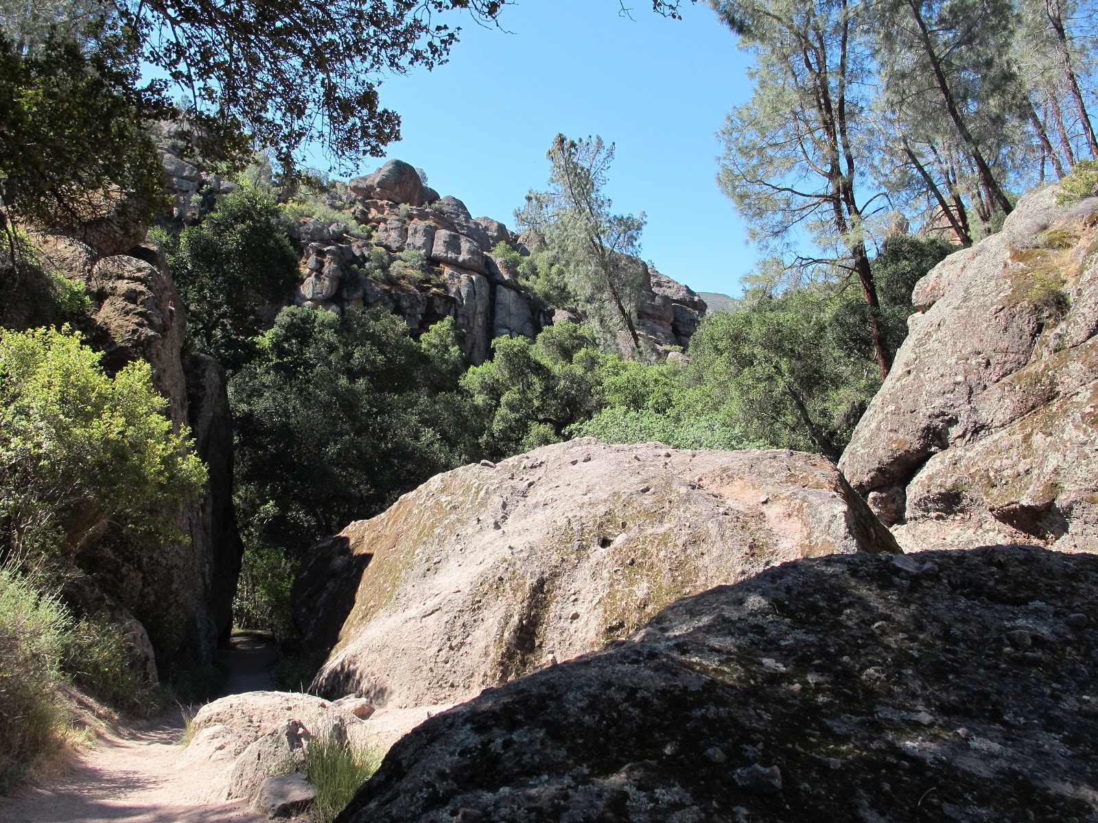 gingersnaps and raps Hike...to the Bat Caves...Pinnacles