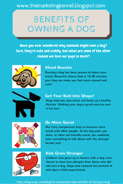 Benefits of owning a Dog Infographic