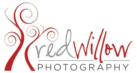 Red Willow Photography