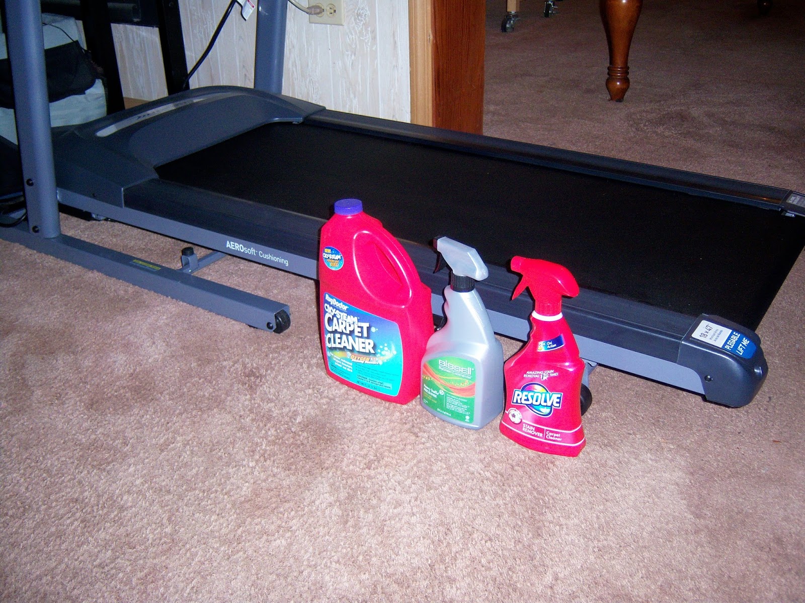 Plant City Lady and Friends The House That Cleans Itself Rugs in