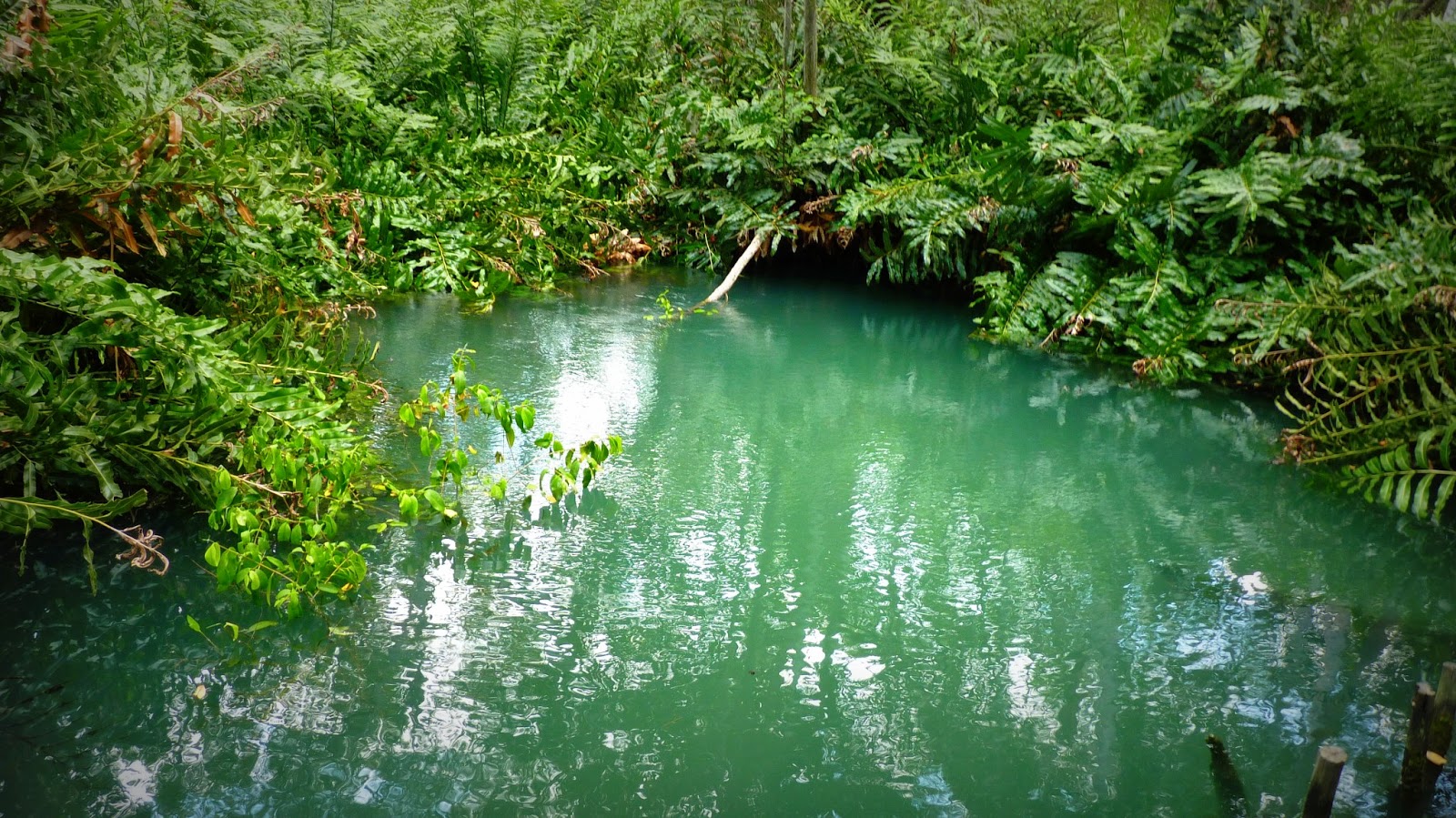 Celestún, un pueblo pesquero cerca de Mérida. Vero4Travel