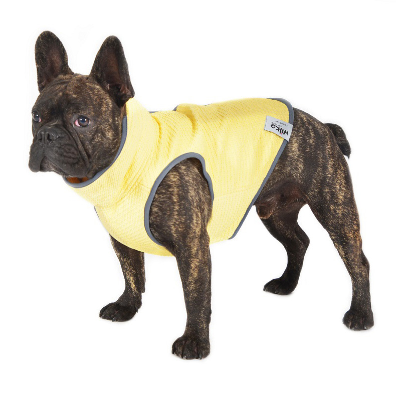 18 Best Summer Dog Accessories for 2018 Australian Dog Lover