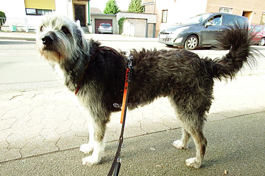 Coronavirus Themenseite