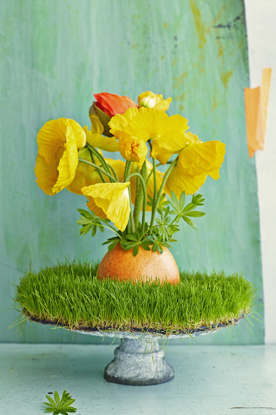 UNA Original Decoracion DE Mesa CON Cesped, Frutas Y Flores