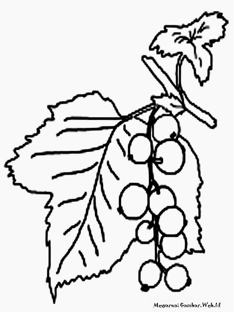 Lembar Mewarnai Gambar Buah Blueberry Mewarnai Gambar