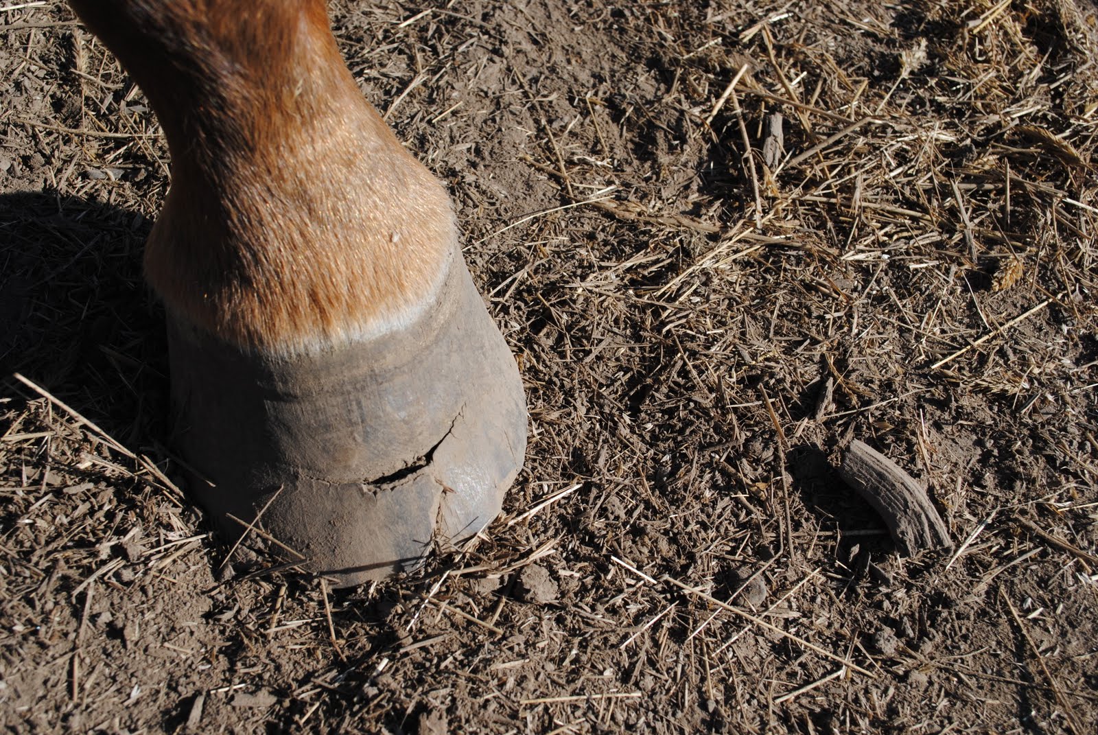 menagerie-ranch-september-2011