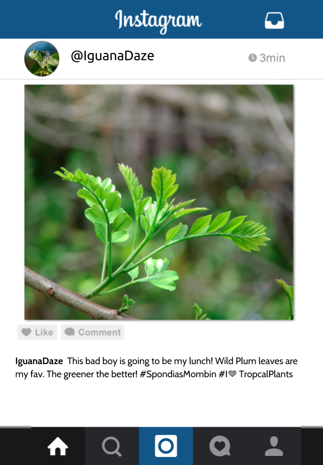 TeachingTechNix: Instagram Template with Google Slides