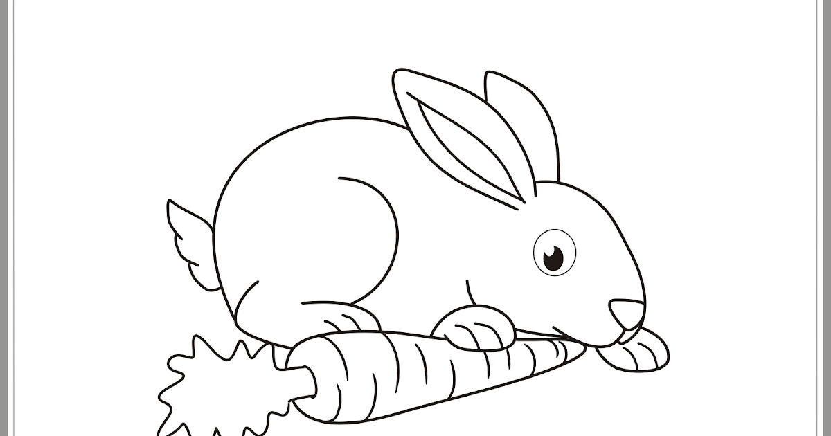 gambar hewan mewarnai anak kelinci