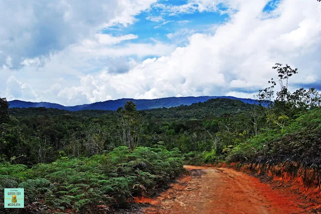 Camino hacia Pa Lungan (Kelabit Highlands), Borneo (Malasia)
