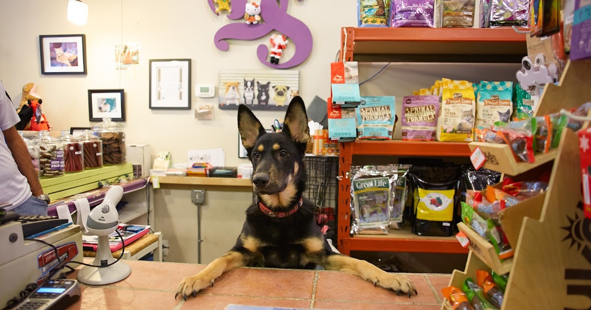 César Oliveira Locutor Gravação de propaganda volante para pet shop