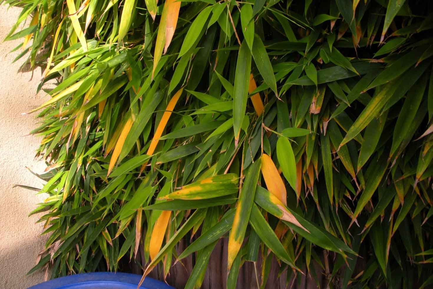 Photo Essays Toxic Urban Landscapes Air Pollution Climate Change