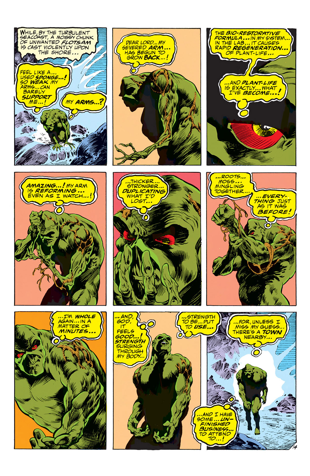 Read online Swamp Thing (1972) comic -  Issue #5 - 15