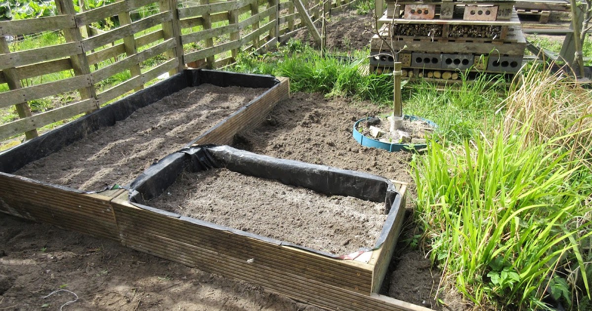 Allotment 65 More raised beds made, clearing & fencing too