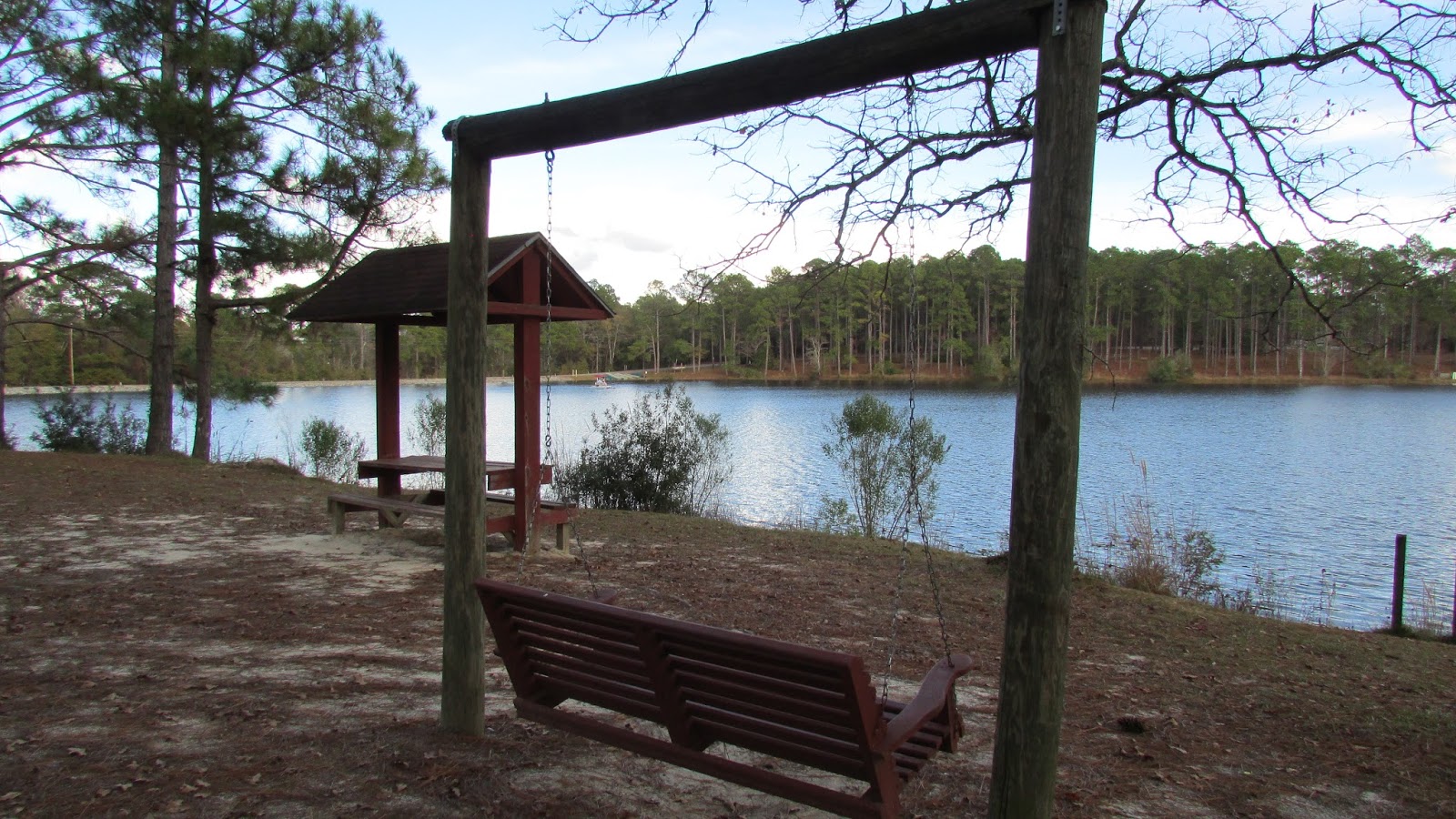 Adventures Of Toaster Gordonia Alatamaha State Park, Reidsville, GA.