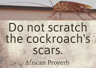 Beautifully Rotten Cockroach problem African Proverb