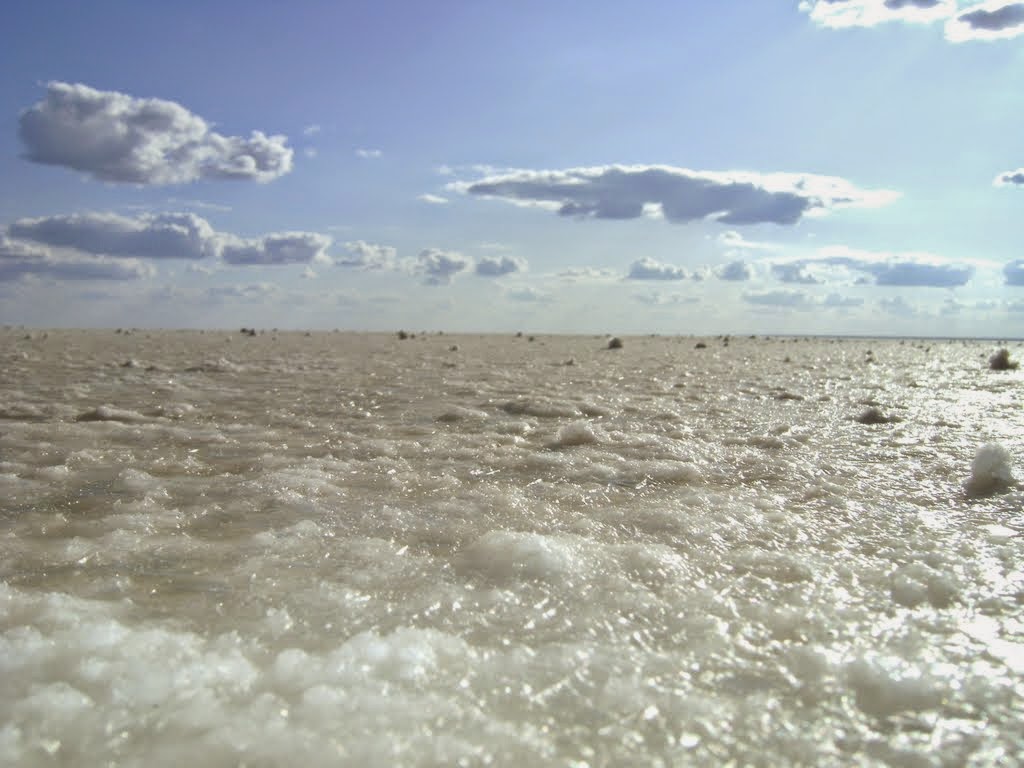 презентация баскунчак. всероссийская солонка озеро баскунчак. поваренная соль озеро баскунчак. соляное озеро баскунчак. озеро баскунчак" география 8 класс.