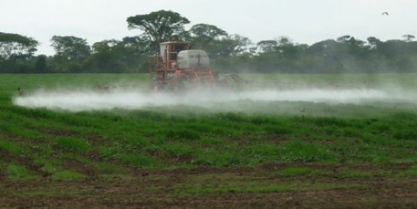 Conozca las funciones del Consorcio AgroSur Conozca las funciones del Consorcio AgroSur