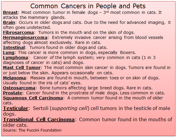 Pink list of common cancers in people and pets