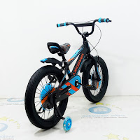 Sepeda Anak Mazara MZ2255 Kids Bike