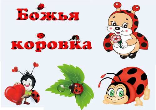 божьи коровки для оформления группы в детском саду. оформление группы божья коровка. группа божьи коровки детский сад. божья коровка для детского сада. детский сад коровка.