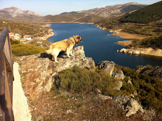 Pablo, el de Alba