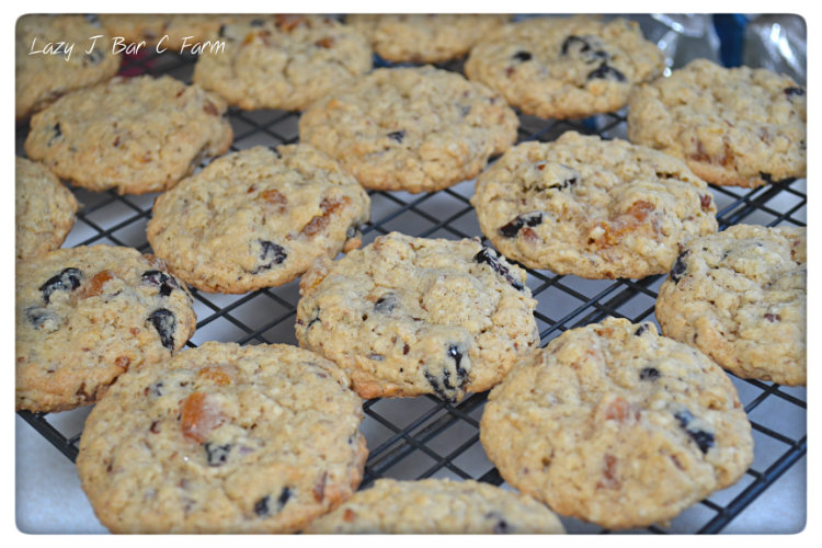 Lazy J Bar C Fruit & Nut Cookies