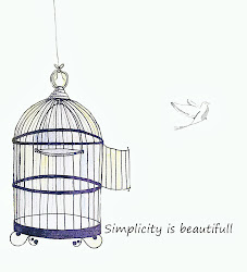 bird cage flying away artwork photoshop peters amy decided font better would